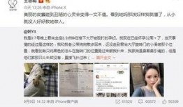 海归网红爆料事件真相视频,揭秘事件背后惊人内幕